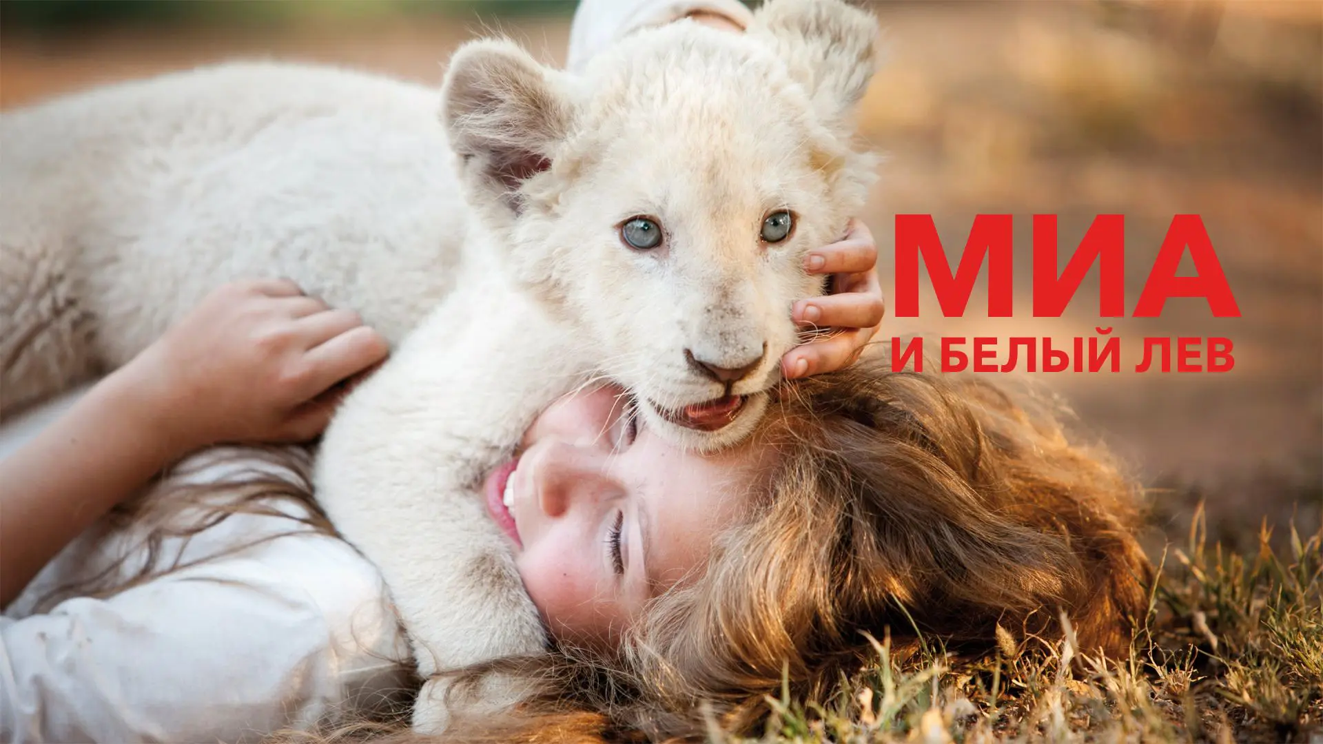 Міа і белы леў