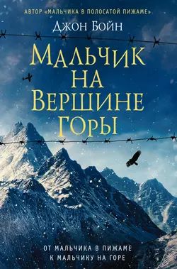 Мальчик на вершине горы. Джон Бойн