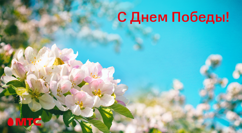 800x440_дп2.png