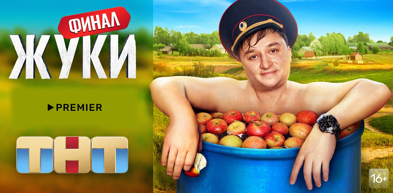 Жуки