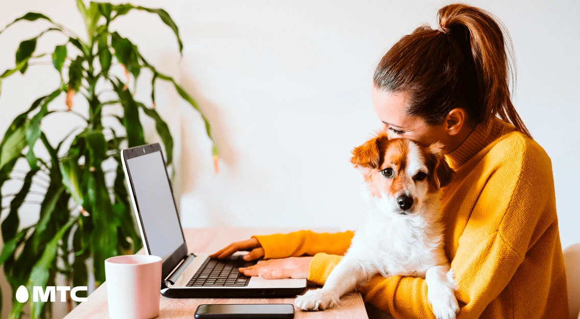 Скидка на линейке «ТАРИФИЩЕ»: МТС запустил акцию для новых пользователей домашнего интернета