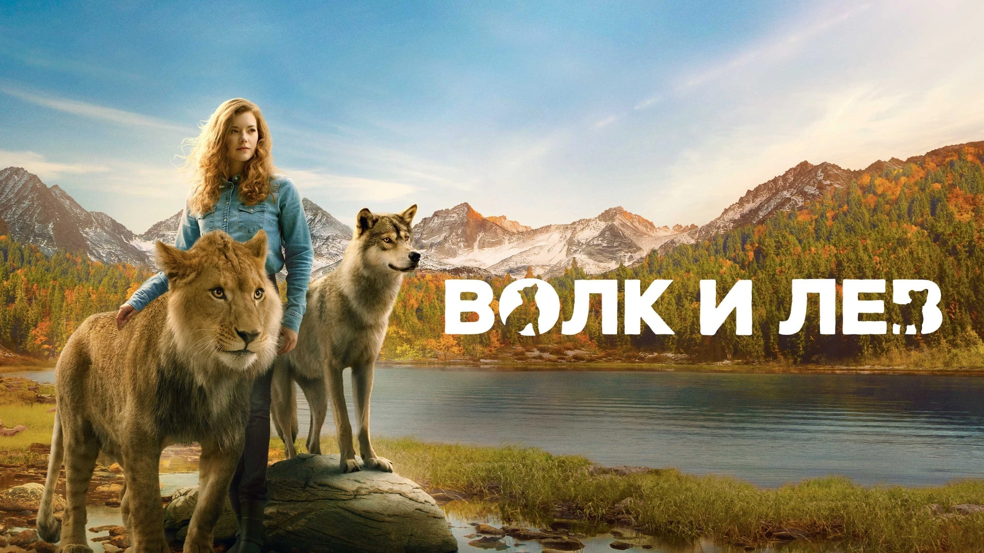 Волк и лев