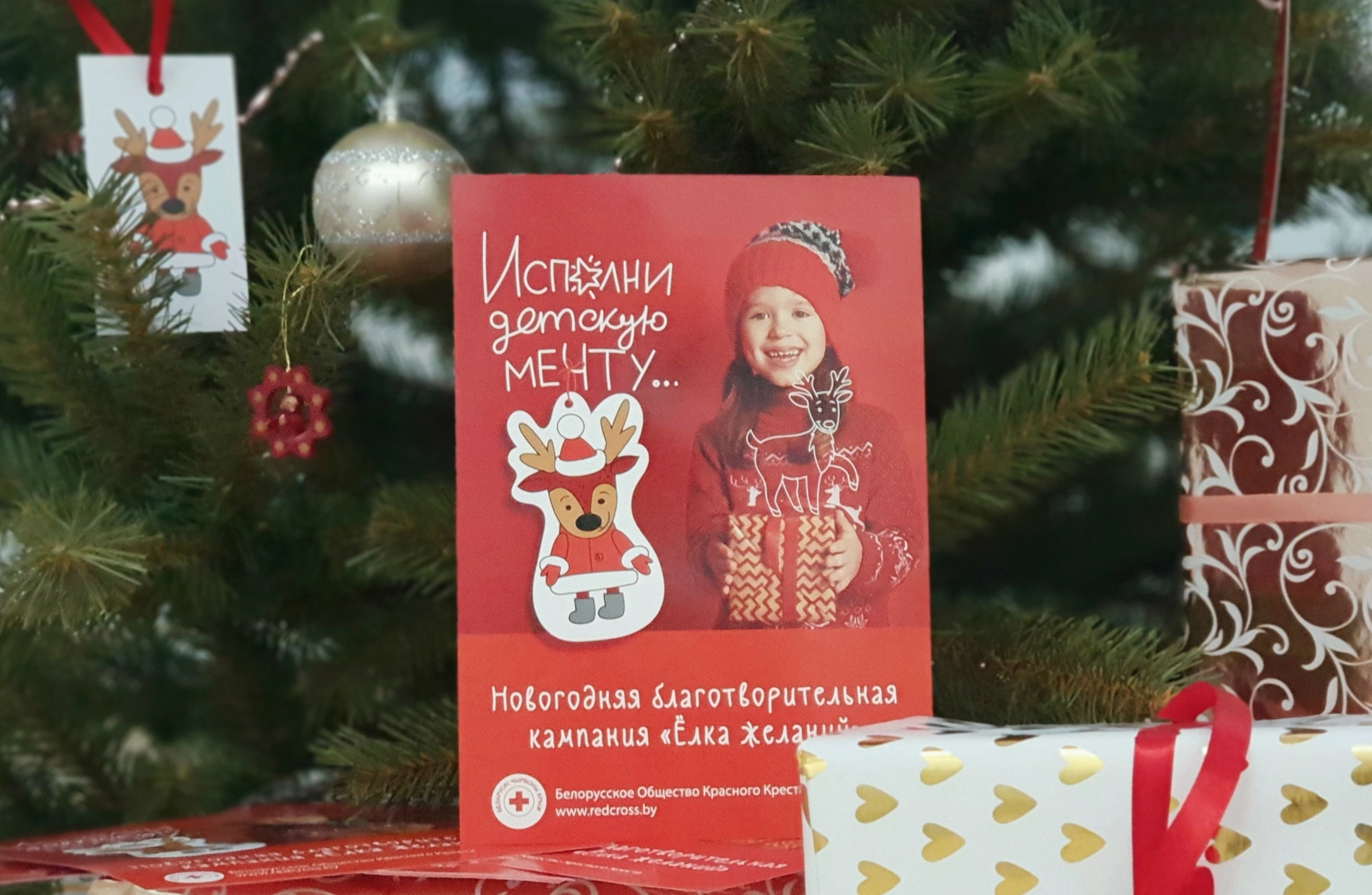 МТС по традиции присоединился к благотворительному проекту Белорусского Красного Креста «Елка желаний»