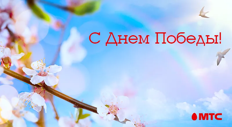 Foto_9-May-RED-02.png